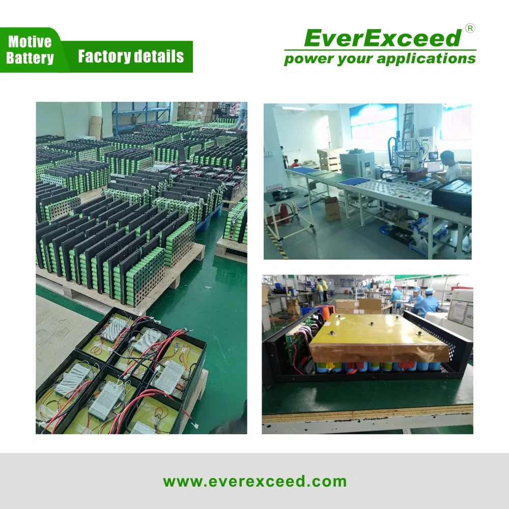 Customized Deep Cycle 12V 24ah Lithium Ion Battery for Golf Carts