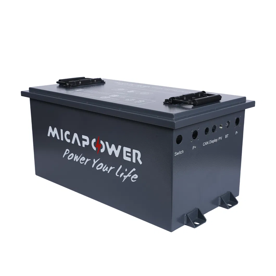 LiFePO4 Battery View 2