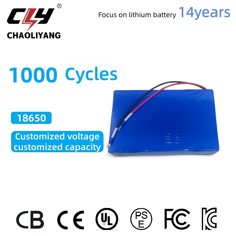 High Discharge Lithium Cell Li Ion Battery Pack for Drone with CE CB UL 12V/24V/48V Lithium Cell 18650 Battery