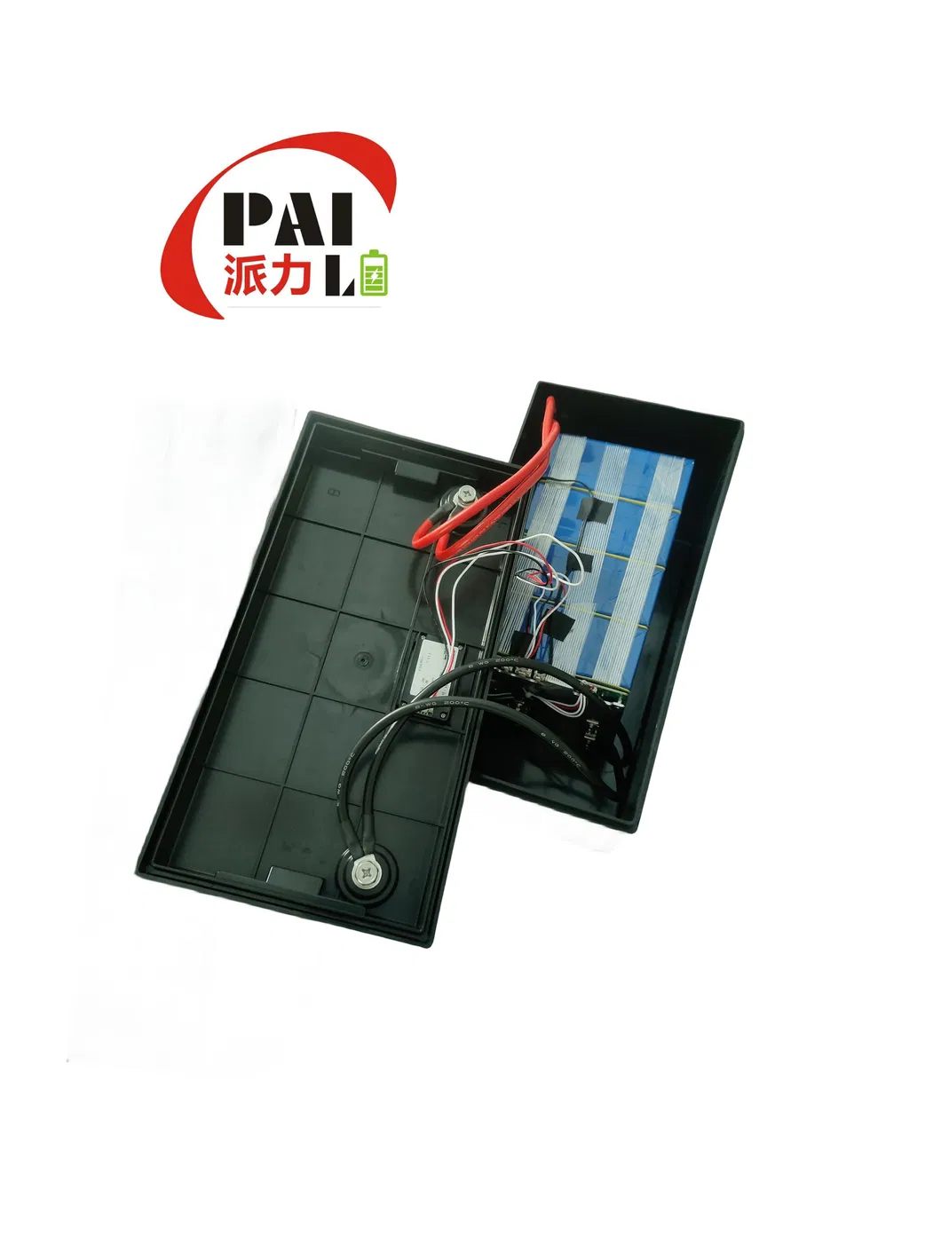 Lithium Battery Detail