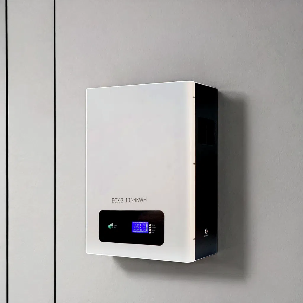 Durable 48V 100ah and 48V 200ah Lithium Iron Phosphate Li Ion Battery Pack with BMS for Solar Home Energy Storage Applications