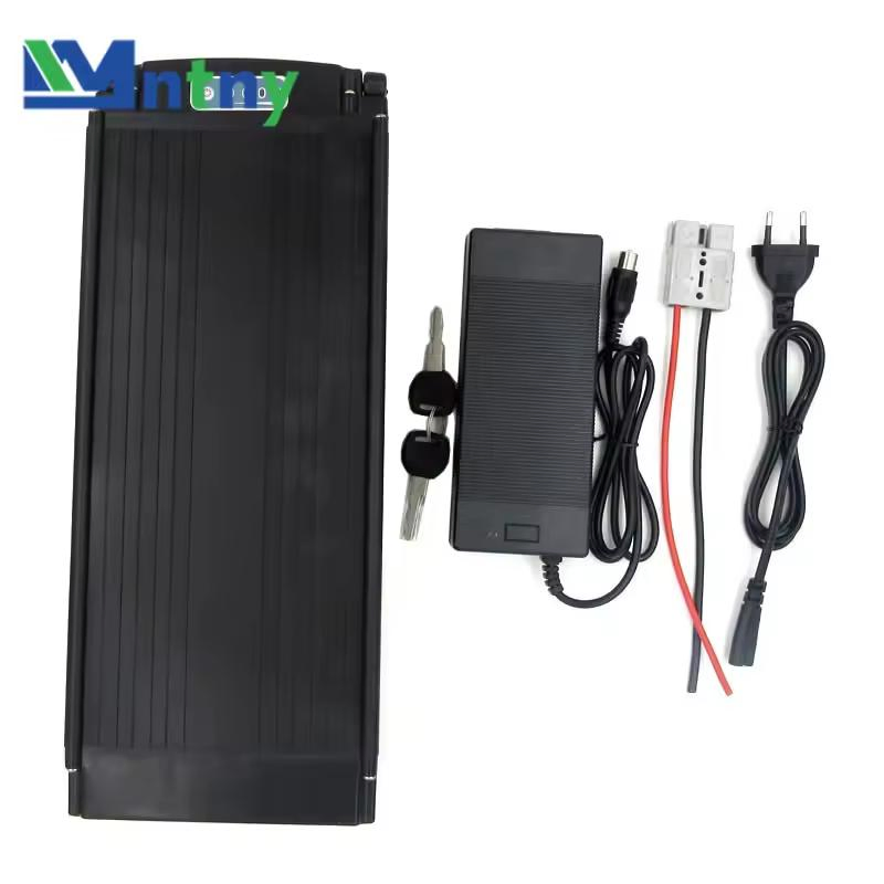 High-Performance 24V 20ah LiFePO4 Battery Pack with Fast Charger
