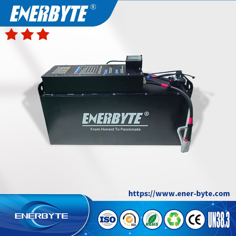 Enby 51.2V300ah Load Capacity Electric Forklift Hydraulic Forklift 24V 36V 48V 80V Lithium Battery Optional with CE