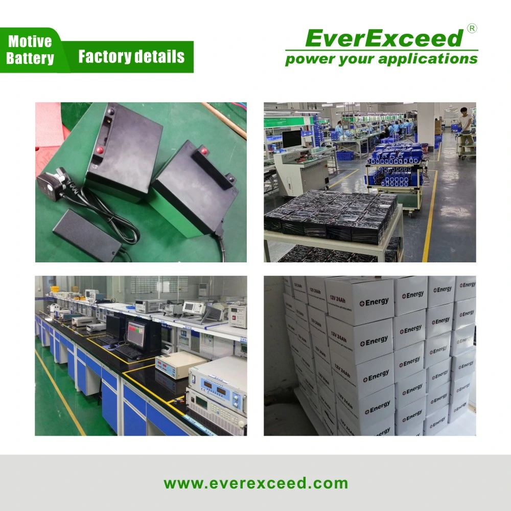 Customized Deep Cycle 12V 24ah Lithium Ion Battery for Golf Carts