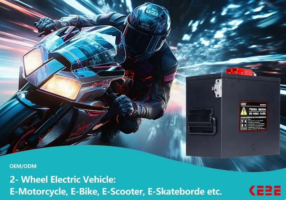 OEM Customization 72V