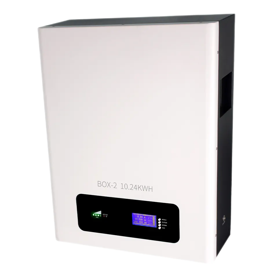 Durable 48V 100ah and 48V 200ah Lithium Iron Phosphate Li Ion Battery Pack with BMS for Solar Home Energy Storage Applications