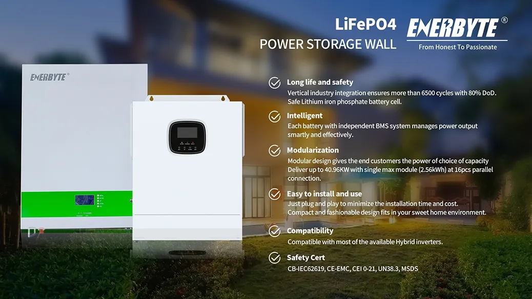 Power Storage System