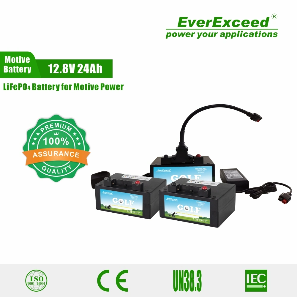 Customized Deep Cycle 12V 24ah Lithium Ion Battery for Golf Carts
