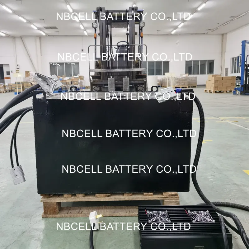 Lithium Forklift Battery 6