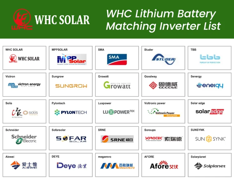 LiFePO4 Battery Internal View