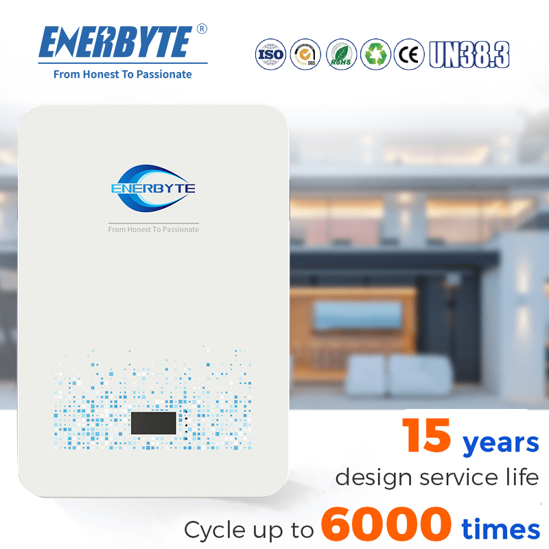 51.2V 100ah Lithium Solar Battery for The Solar Storage System