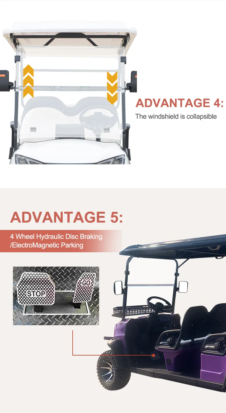 Electric Golf Cart details 6