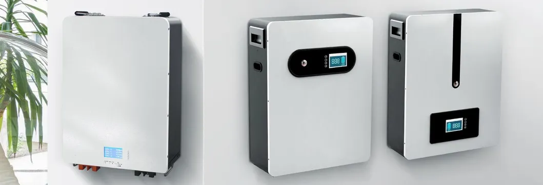 Lithium Ion Battery Pack