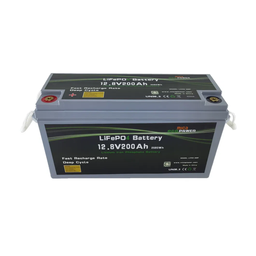 LiFePO4 Battery Pack