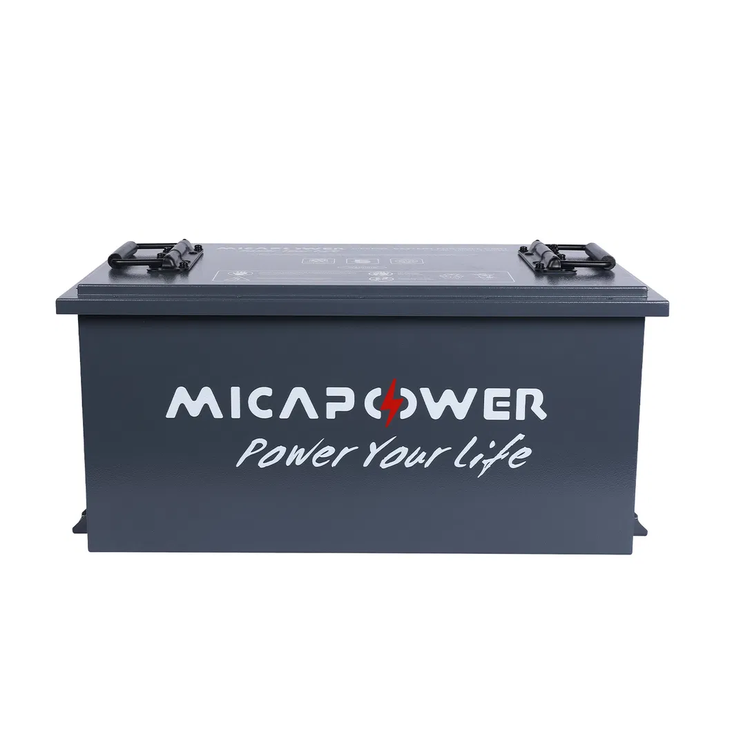 LiFePO4 Battery View 1