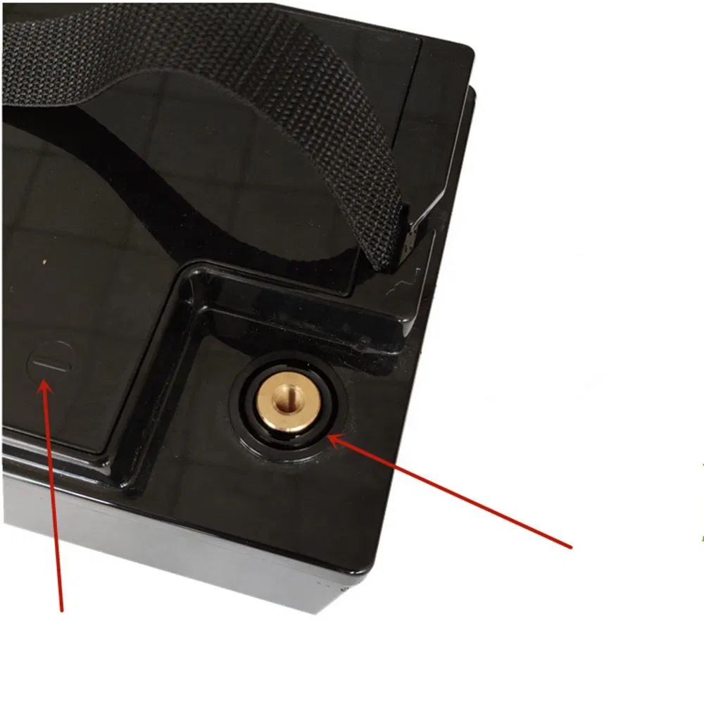 24V AGM Lithium Ion Deep Cycle Battery Pack for Golf Carts