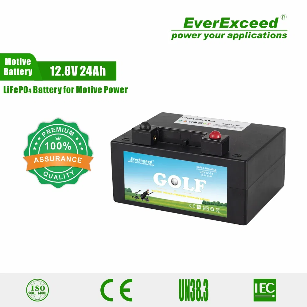 Customized Deep Cycle 12V 24ah Lithium Ion Battery for Golf Carts