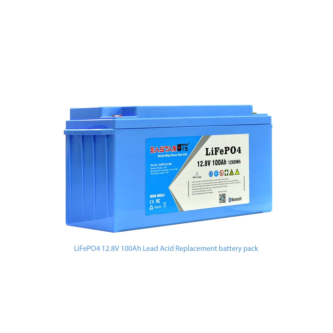 Deep Cycle 12V 100ah LiFePO4 Battery Pack