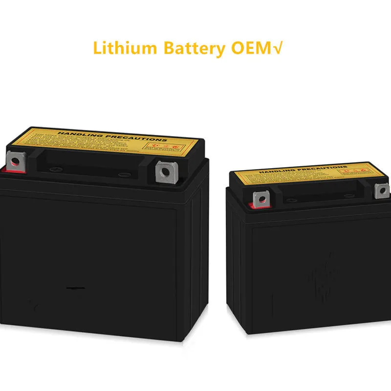 Lithium Battery Pack 2