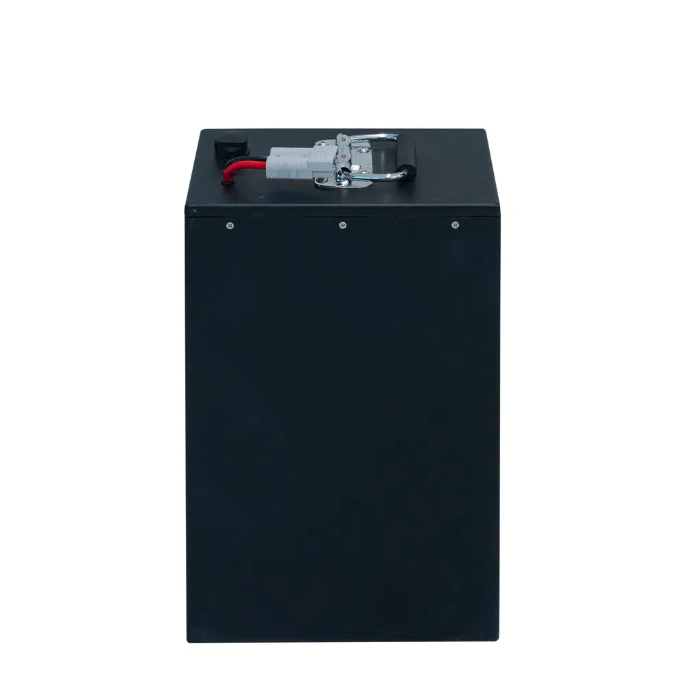 High Capacity Customized 24V 36V 48V Lithium Ion LiFePO4 Battery Pack for Electric Boats/Forklift Golf Cart Power Battery