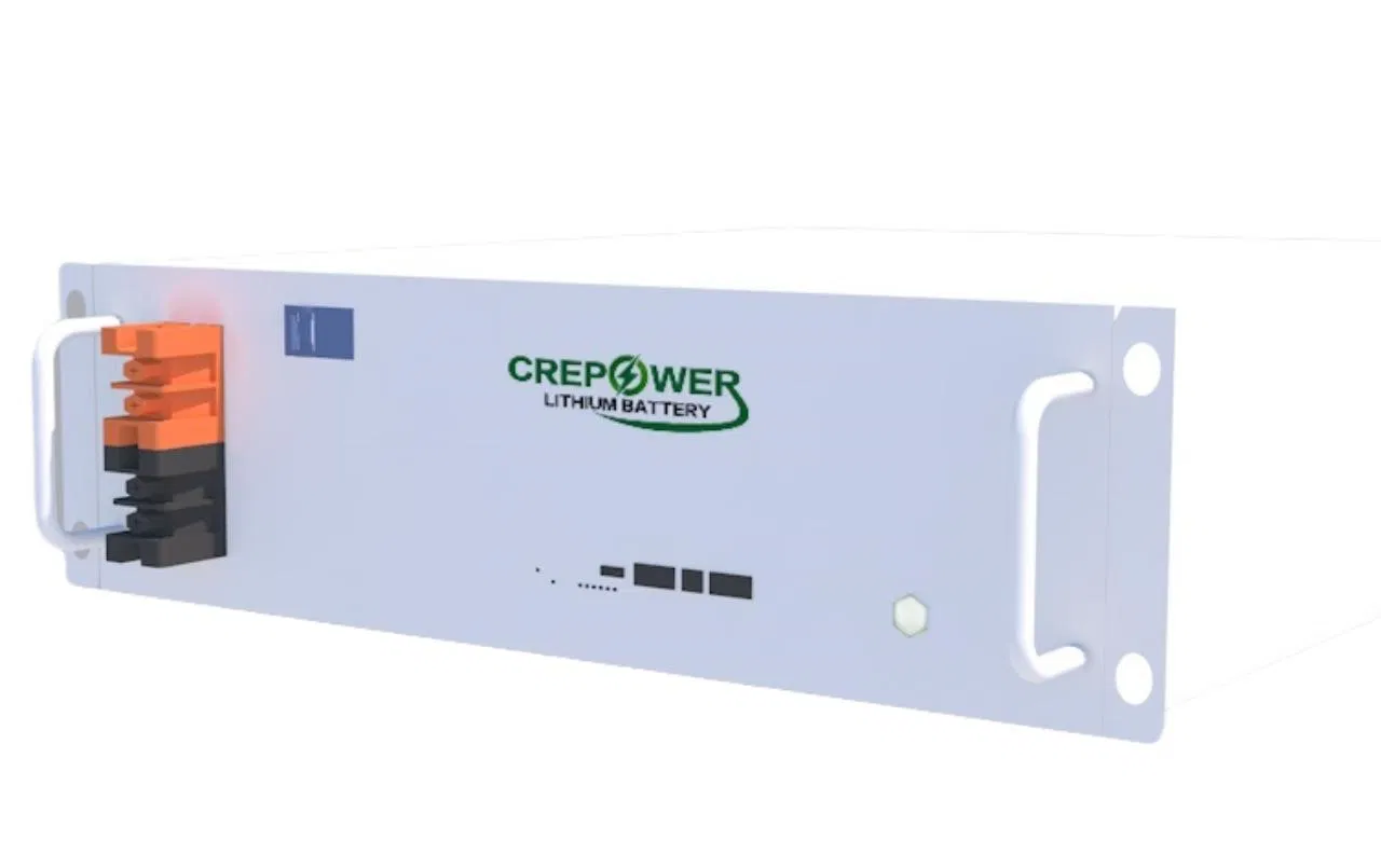 LiFePO4 E-Bike Forklift Truck Lithium Ion 48V 50ah 3u Rack Storage Battery