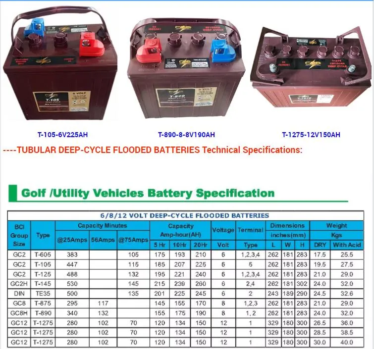 Tubular Flooded Battery