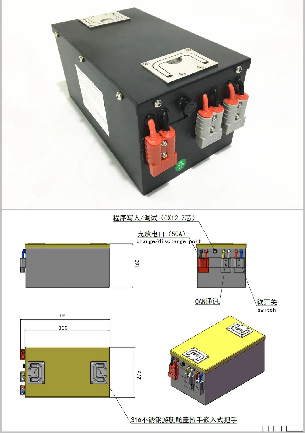 Internal Structure and Cells