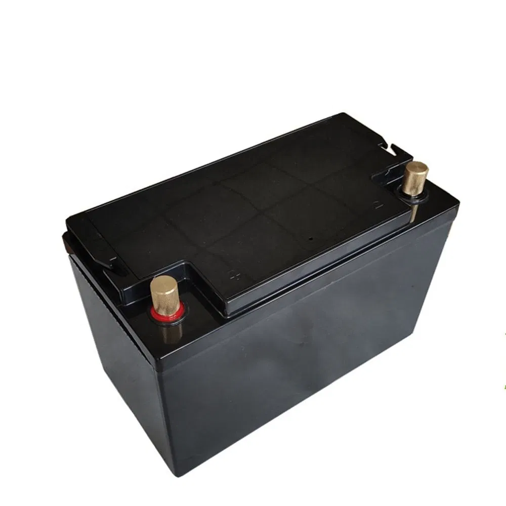 24V AGM Lithium Ion Deep Cycle Battery Pack for Golf Carts