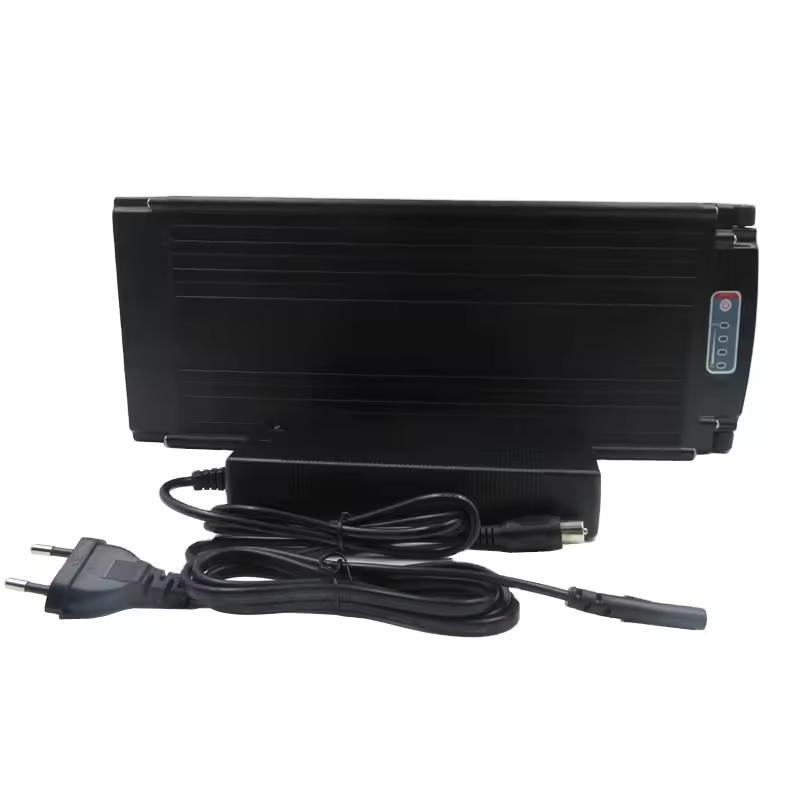 High-Performance 24V 20ah LiFePO4 Battery Pack with Fast Charger