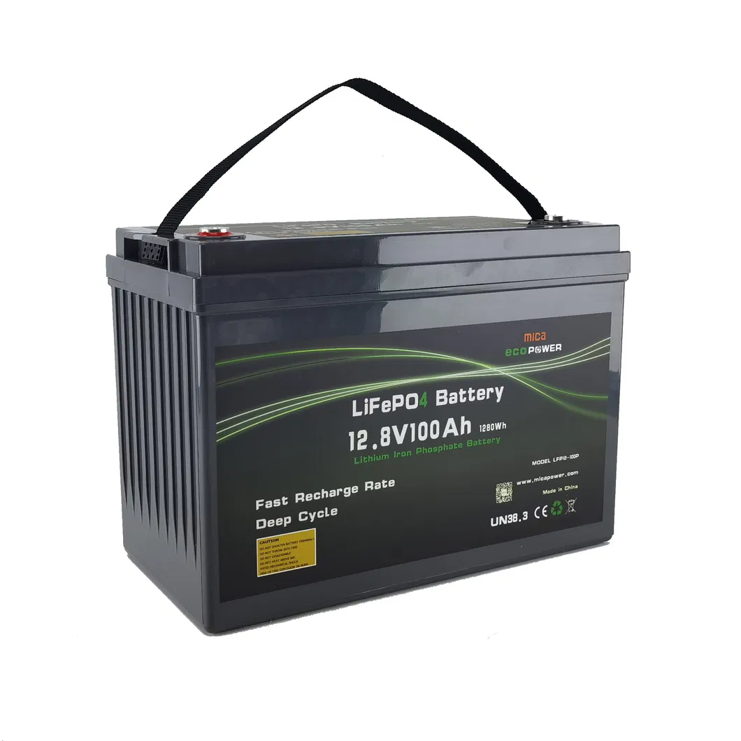 LiFePO4 Battery