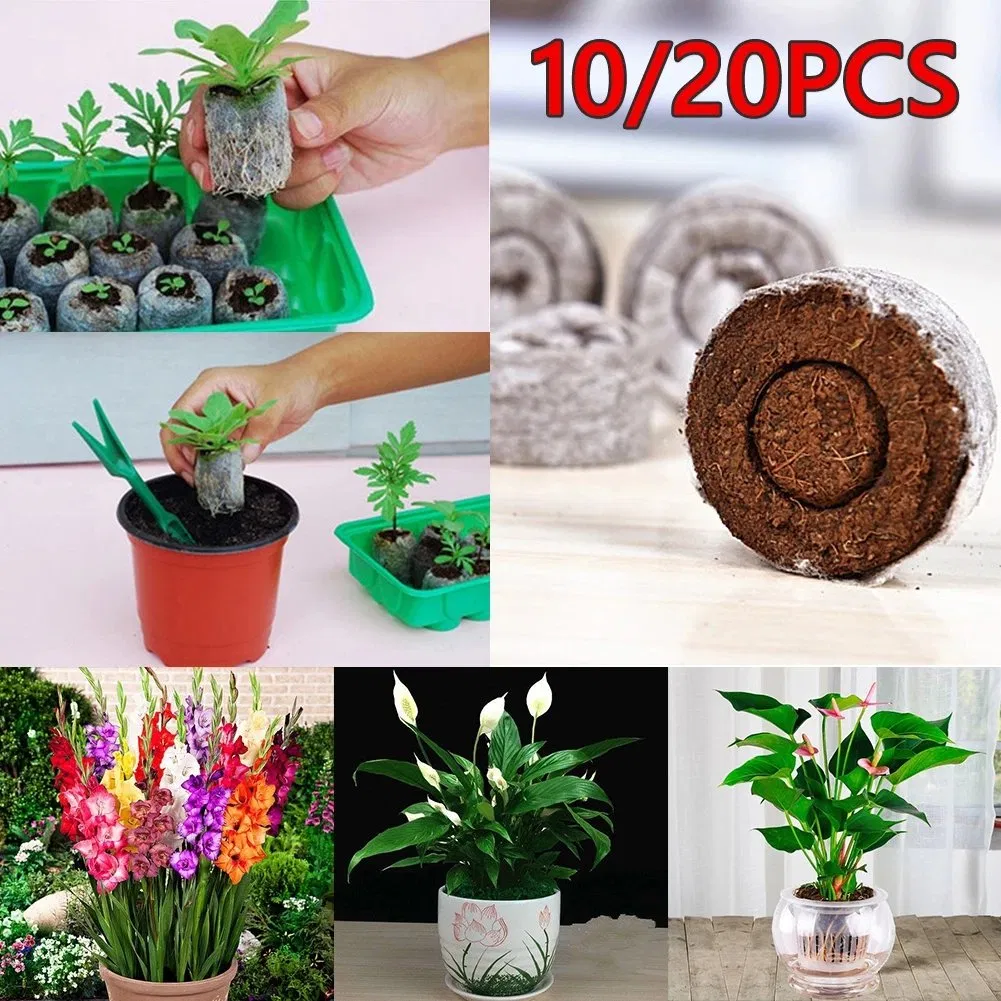 10/20PCS Bloques de Suelo de Turba para Plántulas, Herramienta Profesional para Trasplante de Semillas, Fácil de Usar en el Jardín 30mm