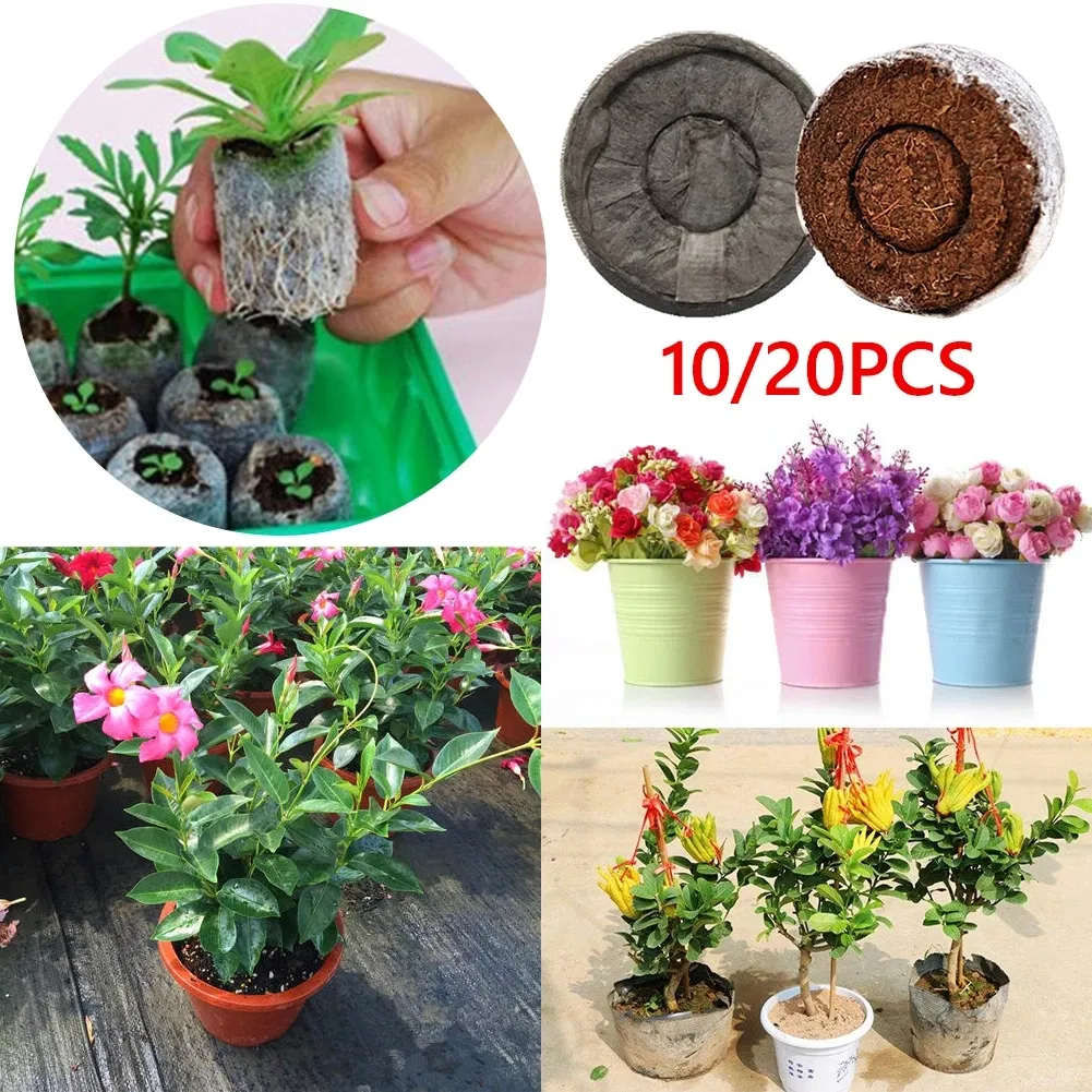 10/20PCS Bloques de Suelo de Turba para Plántulas, Herramienta Profesional para Trasplante de Semillas, Fácil de Usar en el Jardín 30mm