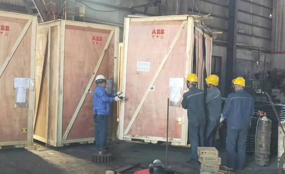 Proceso de embalaje profesional