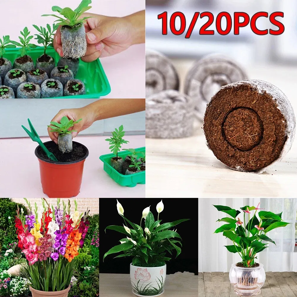 10/20PCS Bloques de Suelo de Turba para Plántulas, Herramienta Profesional para Trasplante de Semillas, Fácil de Usar en el Jardín 30mm