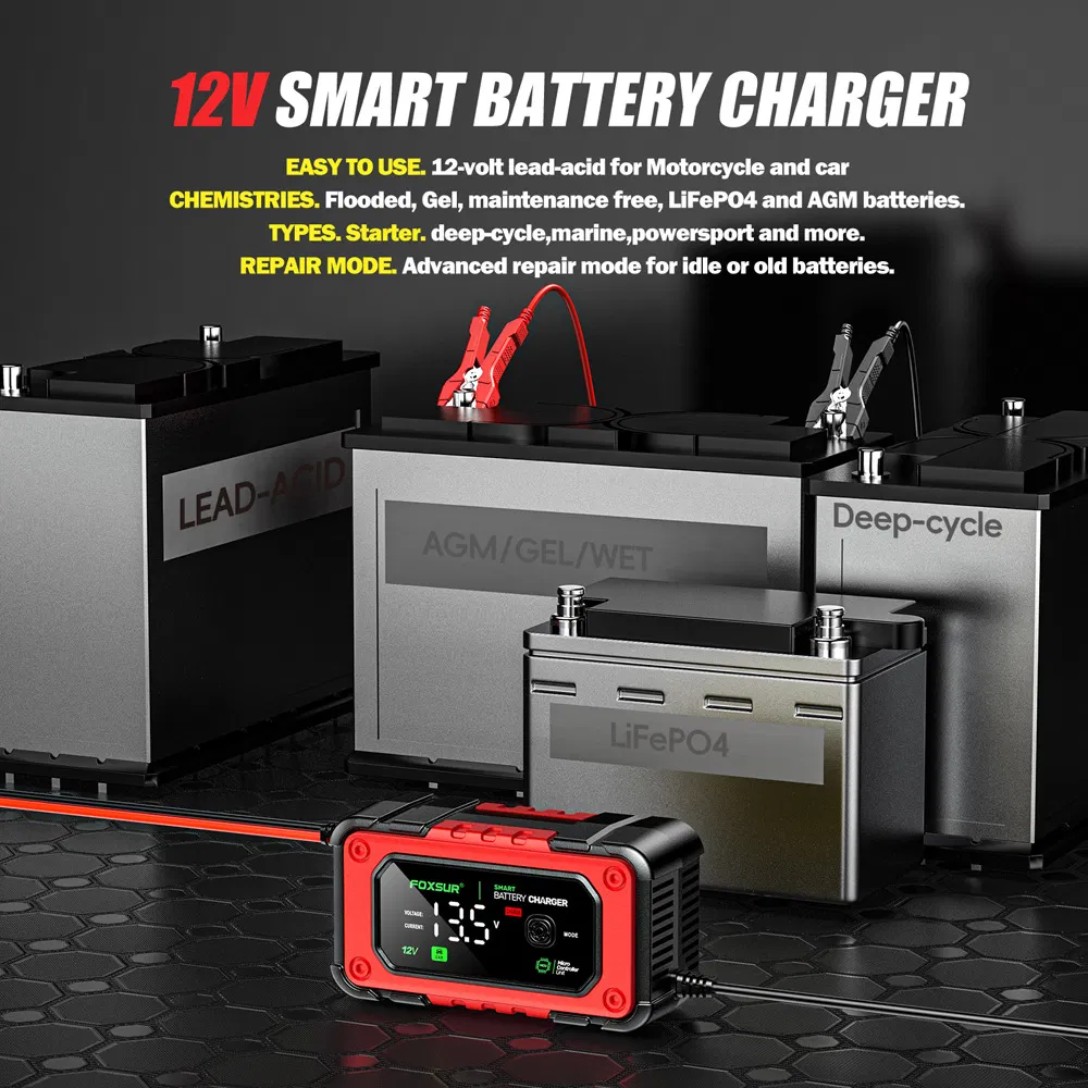 12V Cargador con Pantalla Grande a Color: 7A Batería de Plomo Ácido + Cargador de Batería LFP para Barcos y Coches