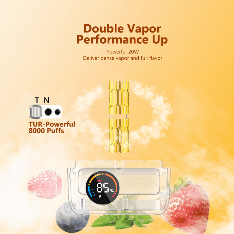 Ovns 16000puffs 20ml E Juice Dual Coil Pure Fruit Flavor Lasting Disposable
