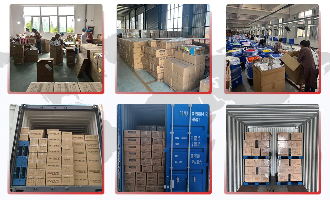 Logistics and Packaging