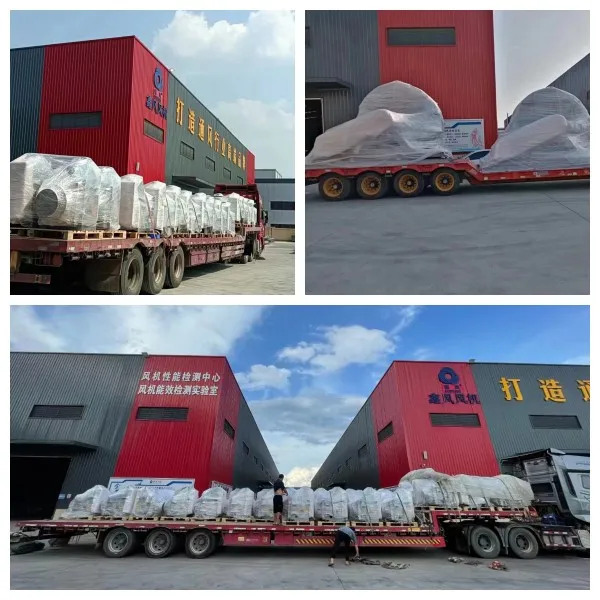 Loading and Transport