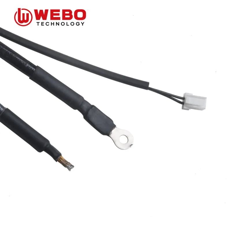 Induction Coil Detail 6