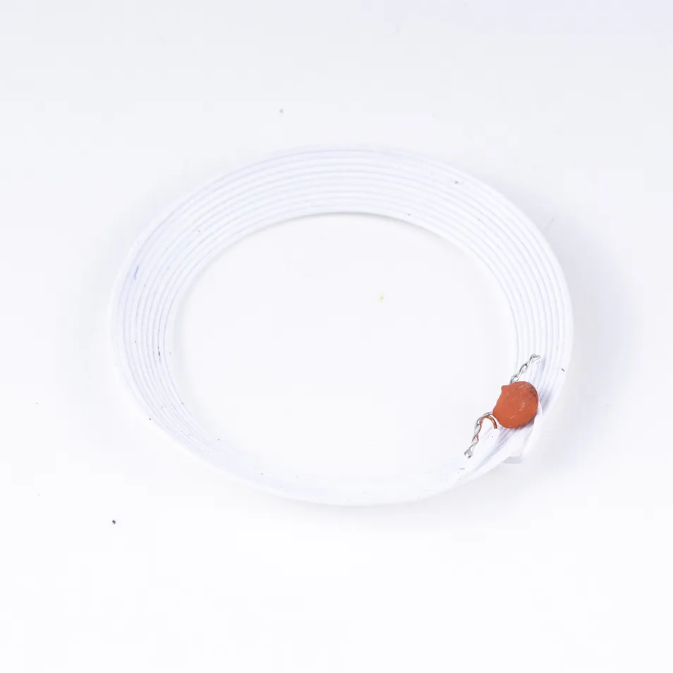 RF EAS Coil Side View