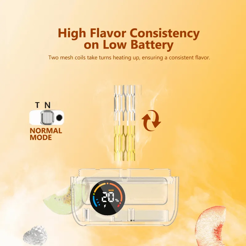 Disposable Vape Photo 1