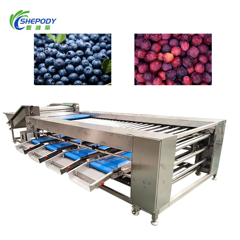 Máquina clasificadora automática de frutas de alto rendimiento para rodillos, dragon fruit, calabaza, durazno, cereza
