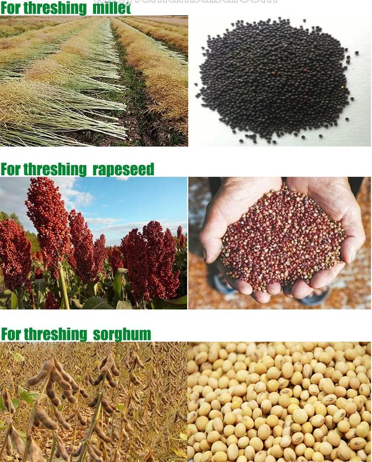 Máquina desgranadora de arroz paddy de venta directa, máquina de trilla de trigo, maíz y frijoles