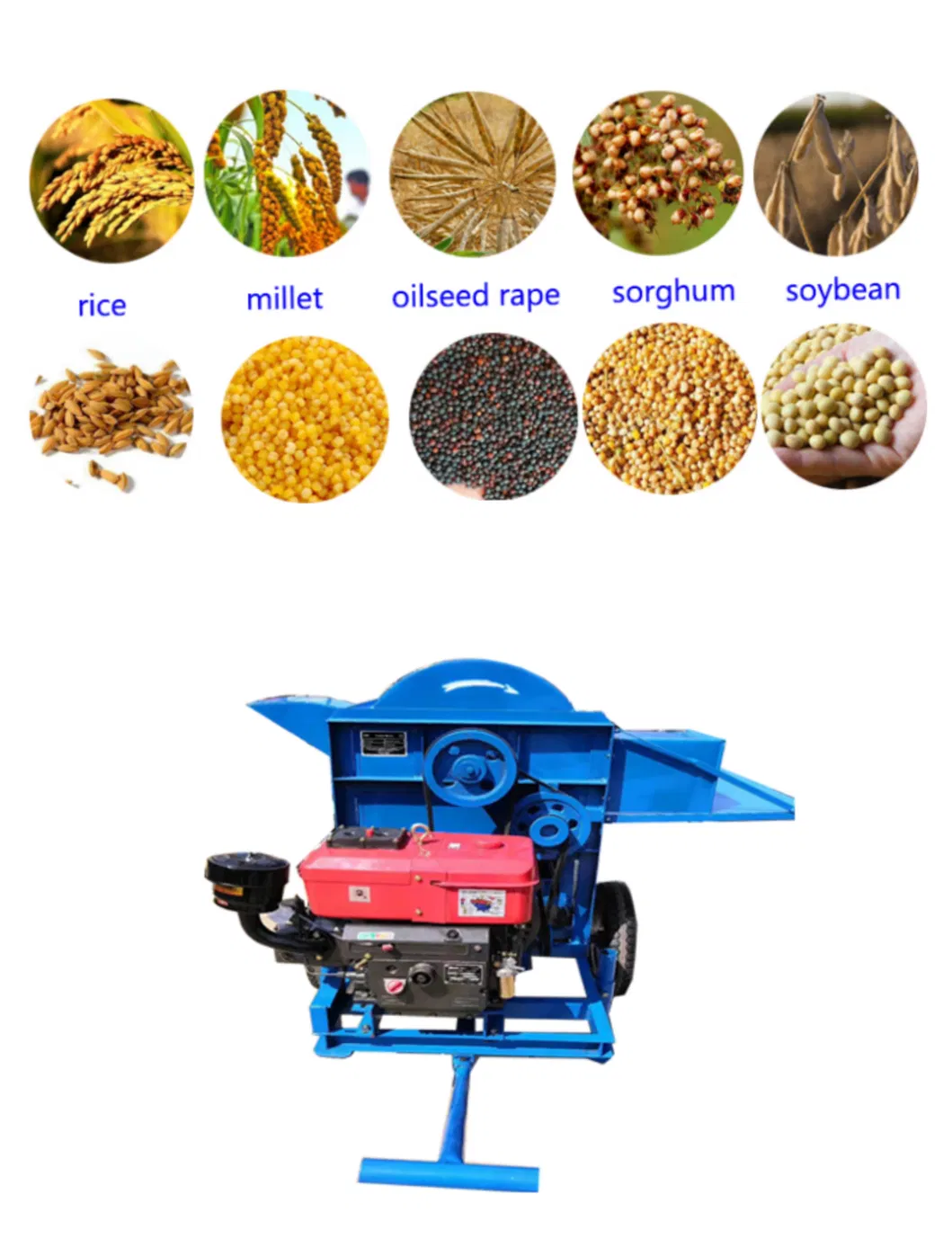 Máquina desgranadora de arroz paddy de venta directa, máquina de trilla de trigo, maíz y frijoles