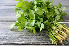 Máquina de secado de frutas, verduras, cebolla y cilantro con bomba de calor de aire caliente