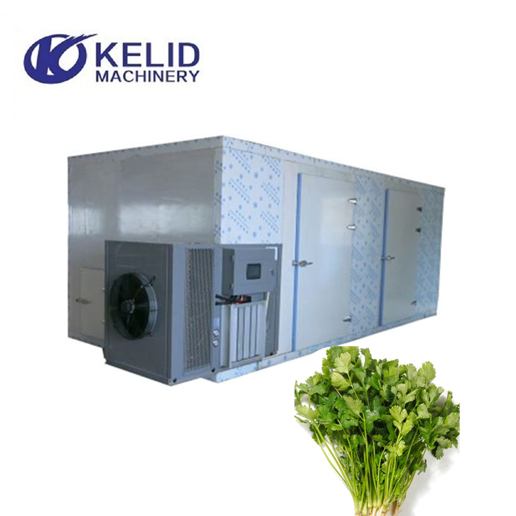 Máquina de secado de frutas, verduras, cebolla y cilantro con bomba de calor de aire caliente
