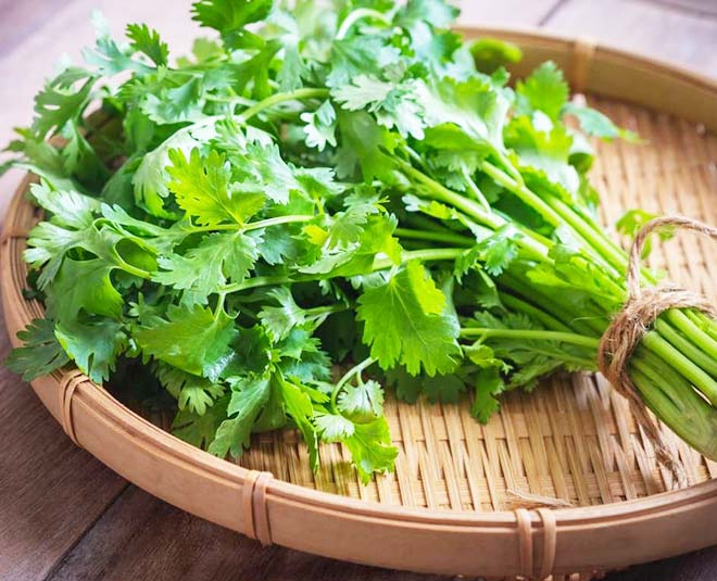 Máquina de secado de frutas, verduras, cebolla y cilantro con bomba de calor de aire caliente