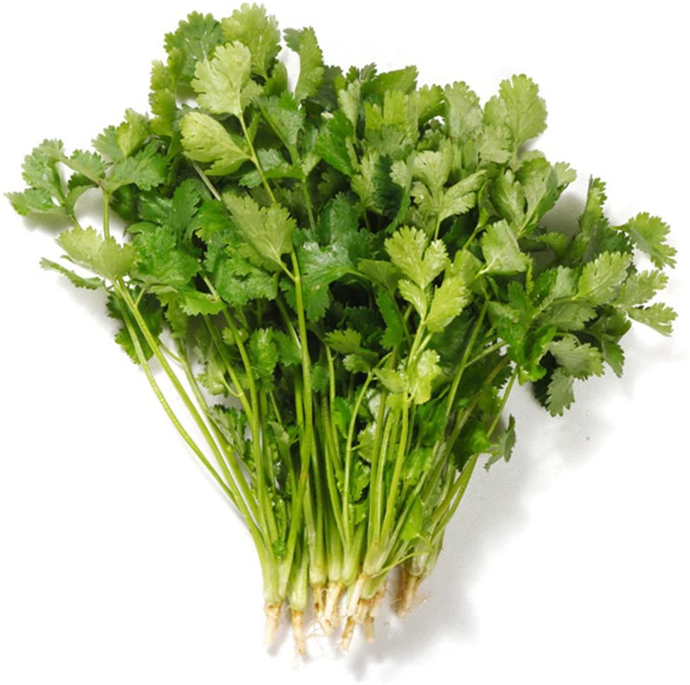 Máquina de secado de frutas, verduras, cebolla y cilantro con bomba de calor de aire caliente