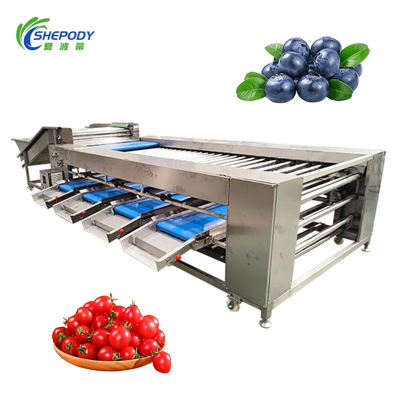 Máquina clasificadora automática de frutas de alto rendimiento para rodillos, dragon fruit, calabaza, durazno, cereza