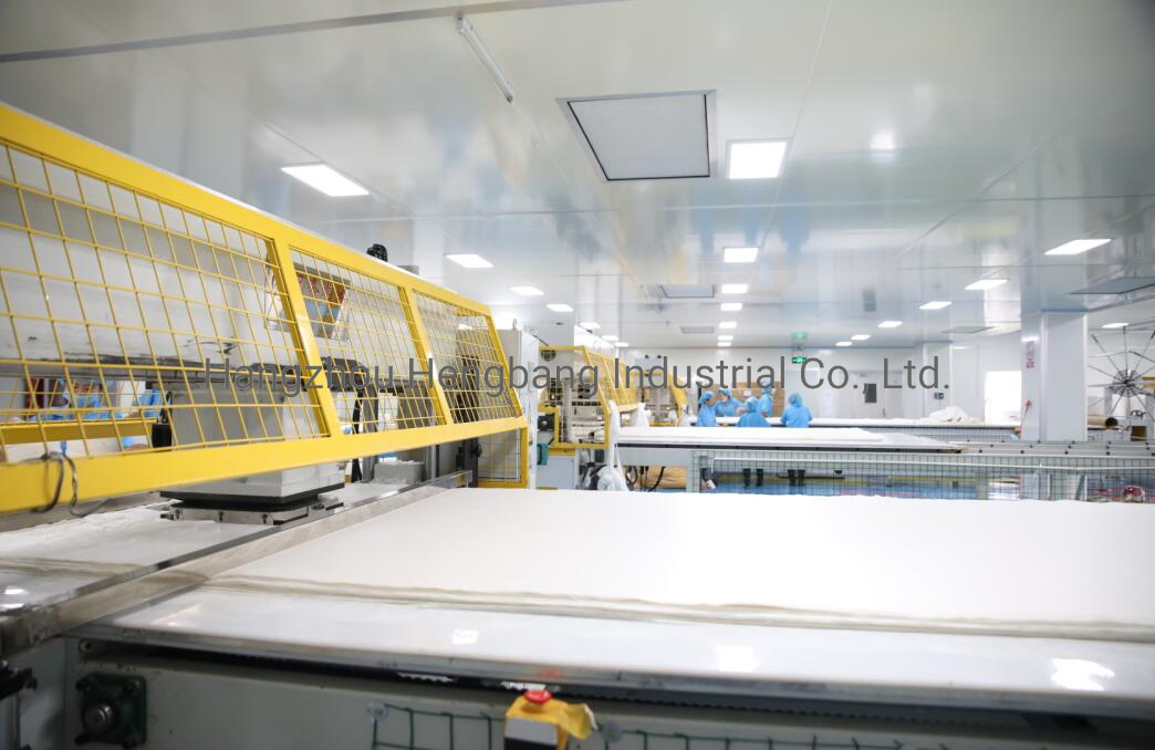 Soft Skin Friendly Invisible Face Mask Sheet (skin care)